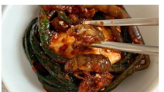 엄청난 매미떼로 인하여 생겨난 요리!?