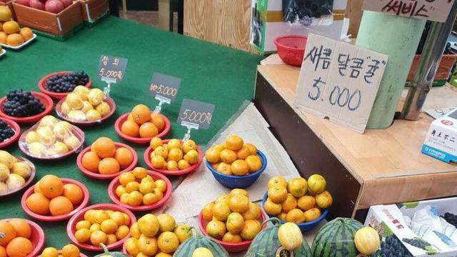 8년전 참외 한개 7000원 시절