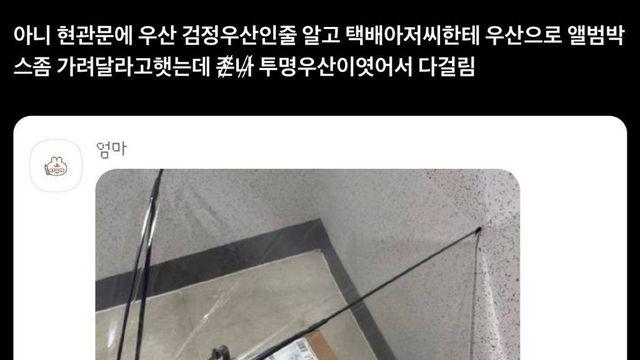 택배아저씨한테 현관에 있는 우산으로 앨범박스 좀 가려달라고 했는데..