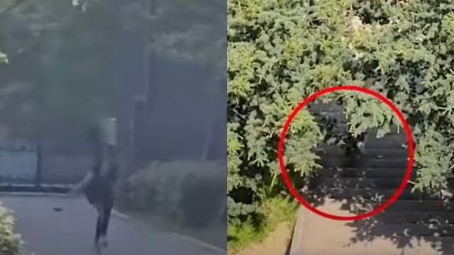 “눈 마주치자 목덜미 움켜잡더라”... “나도 당했다” 피해 사례 속출