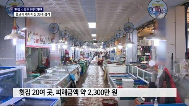 횟집 수족관 차단기 내리고 도주.. 물고기 집단폐사		…
