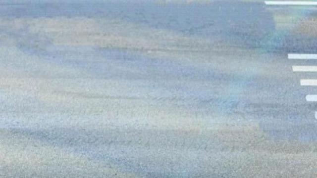 딸 하나 있는 집에 댕댕이를 들였더니…,,