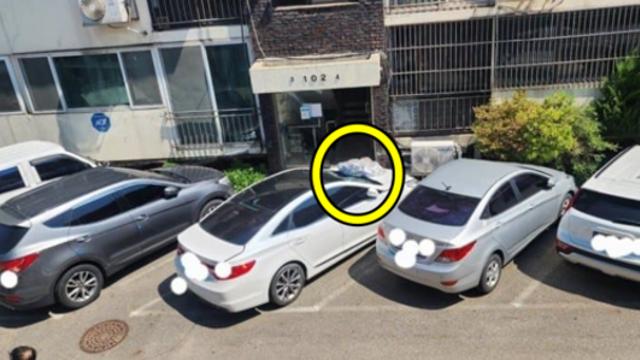 오물 풍선 또 보내 자동차 박살 보상 규정 없어 경찰 신고 전국 514건