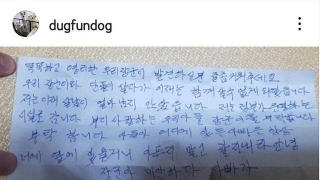 대로변을 돌아다니던 강아지 목에 걸려있던 쪽지		…