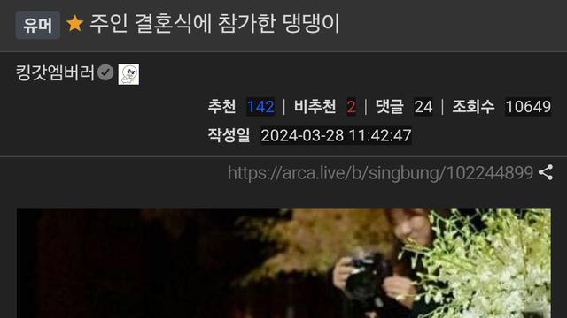 주인 결혼식에 참가한 댕댕이!!!