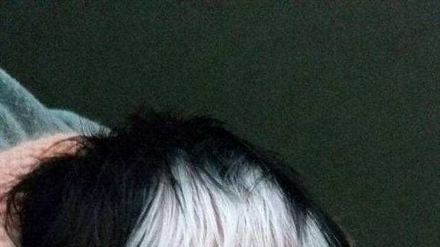 4대째유전브릿찌.jpg,,