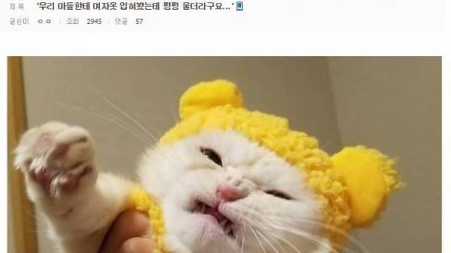 아들한테 여자 옷 입혀봤는데