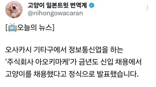사람이없으면 고양이 일시키면 되니 조아쓰⋯!