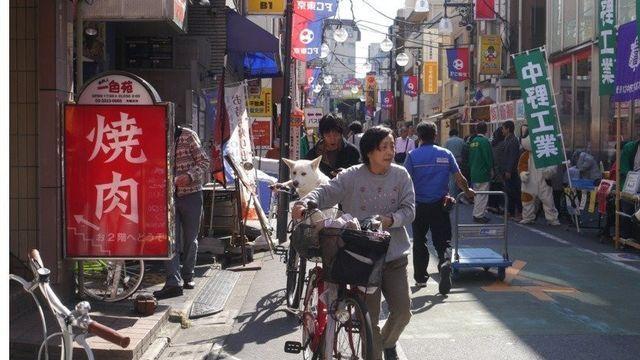 여보... 당신은 무사히 사람으로 태어났군요