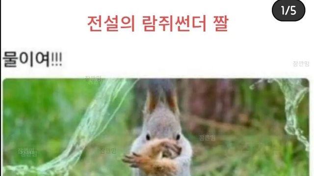 이젠 고전이 된 람쥐썬더 짤!?