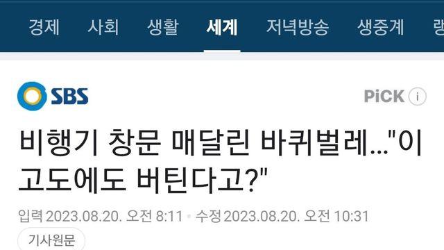 비행기 외부 창문에 붙어서 비행내내 버틴 바퀴벌레 ㄷㄷ!?
