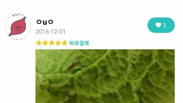 배달 어플 리뷰.jpg,,