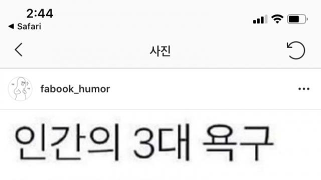 인간의 3대 욕구