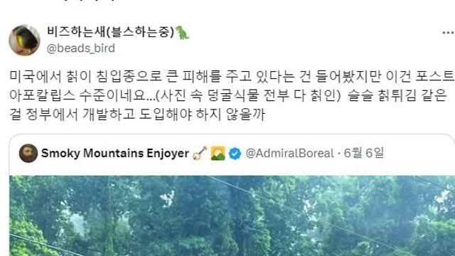 칡에 잠식당하는 미국