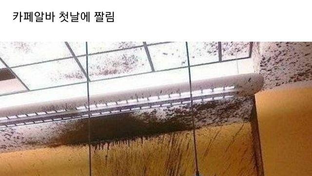 카페알바 첫날에 짤림.jpgwow