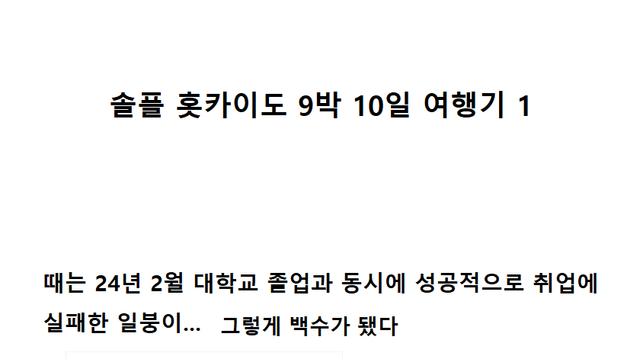 솔플 홋카이도 9박 10일 여행기 - 1