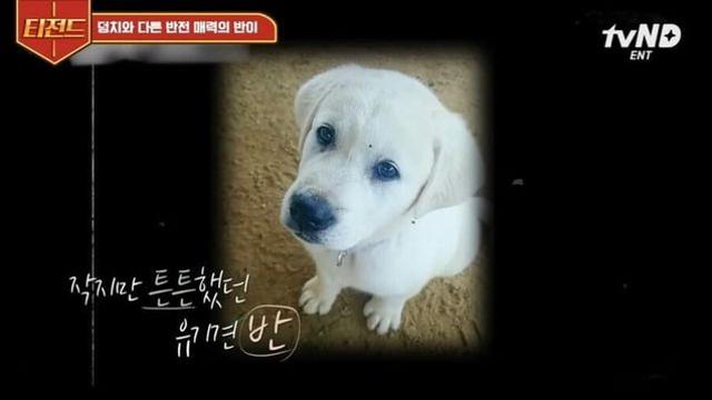 딸: 아빠 강아지 데려올게요. 커봤자 얼마 안커요.jpg..
