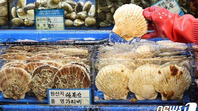 '군인 아들 첫 휴가, 가리비 먹고싶대요'…3㎏ 무료로 준 가게 '훈훈'..