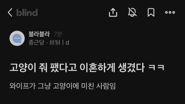 블라) 고양이 팼다고 이혼당하게 생긴 남자...