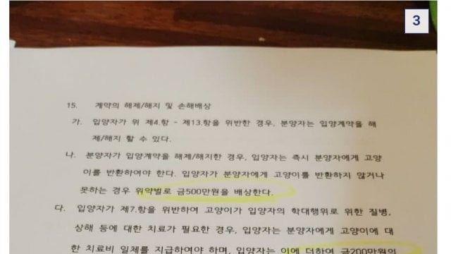 캣맘에게 고양이 입양 할 때, 사인해야 하는 계약서wow