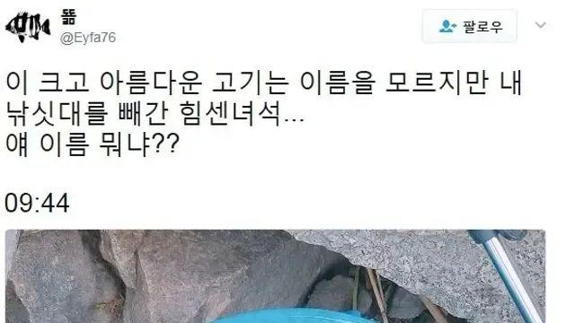 낚시꾼 우롱한 멸종위기종 물고기