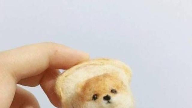 식빵강아지.jpg,,