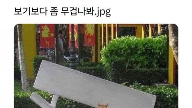 무거워서 의자를 무너뜨린 냥냥이