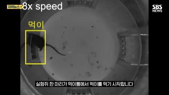 세계 최초 모성애 및 식욕 제어 성공