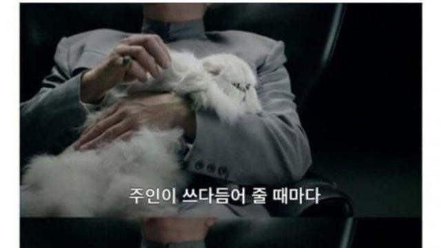 고양이를 쓰다듬는 효과..