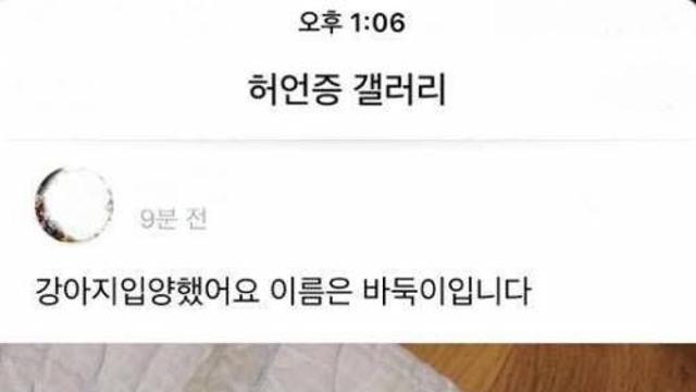 강아지를 분양받은 허갤러,,