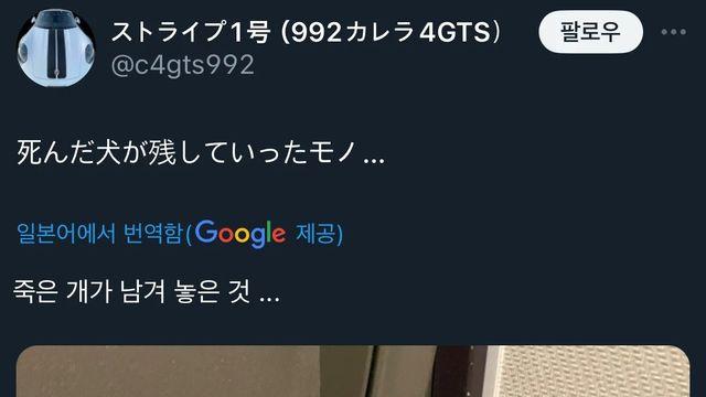 죽은개가 남겨 놓은것