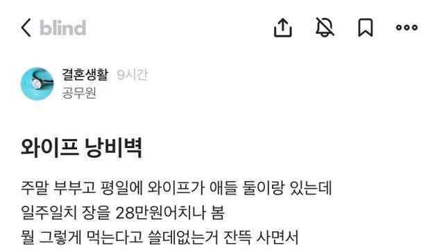 와이프 낭비벽.blind