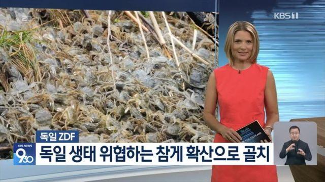 ??: 야 독일.. 수출해