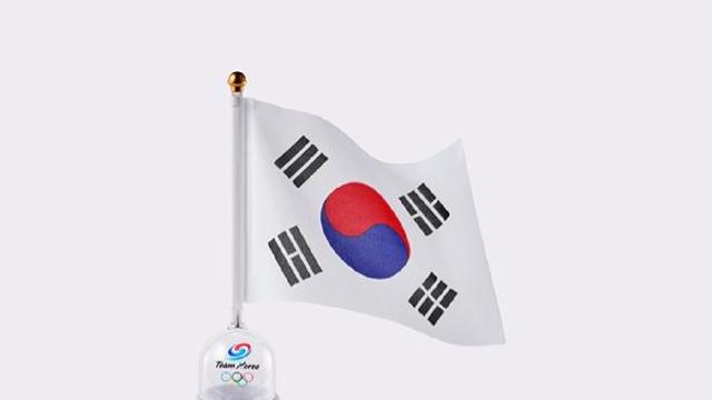 하이브, K팝 응원봉 들고 파리 간다…세븐틴 부석순 팀코리아 응원