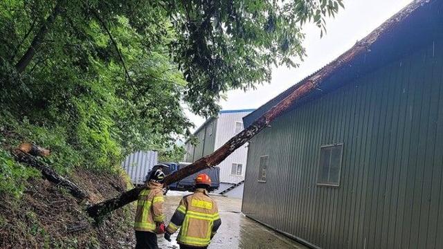 [날씨] 오늘 전국 장맛비 계속…서울 등 많게는 120㎜ 이상