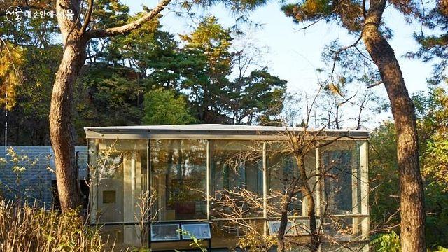 장마 데이트? 오히려 좋아 '숲 뷰 카페'