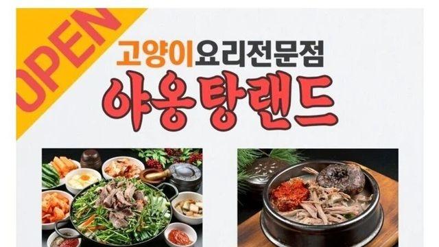전설의 고양이 요리 전문점 사건,,