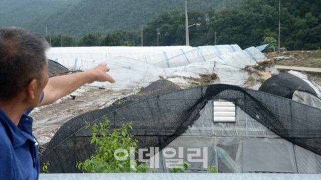 전국 곳곳 구름 많고 소나기…낮 최고 기온 32도[내일날씨]