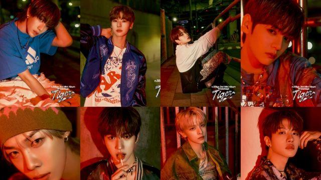 엔싸인, 'Tiger' 두 번째 콘셉트 포토 공개··· '호랑이 기세' 담았다