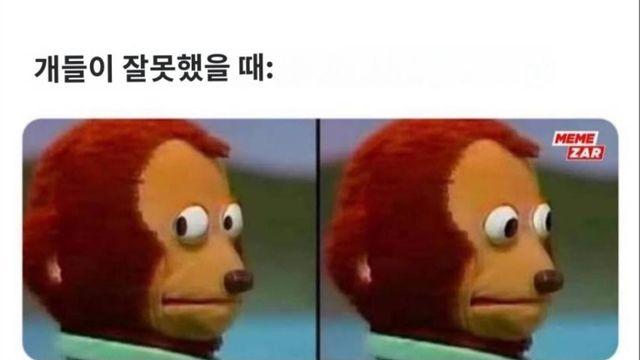 개들이 잘못했을 때 VS 고양이가 잘못했을 때.jpg