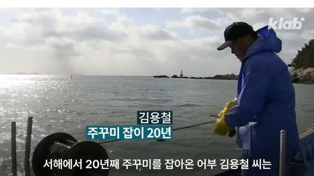 주꾸미가 쏘아올린 작은 공??!