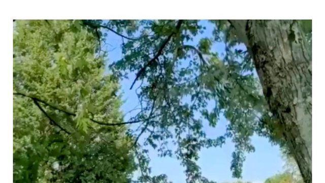 미국 비밀경호국이 이제 탈탈 털릴 상황인 이유 