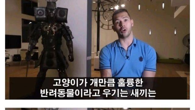 고양이 키우는 인간들이 죄다 ㅂㅅ들인 이유
