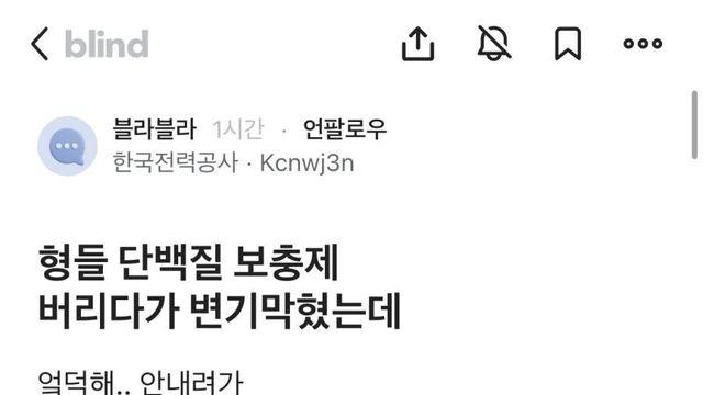 보충제 버리다가 변기 막힌 블라인
