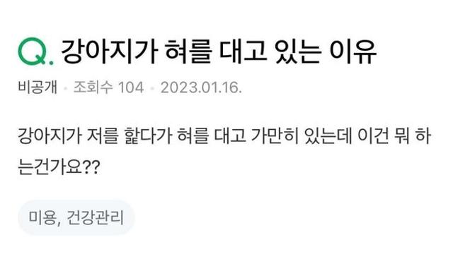강아지가 혀를 대고 있는 이유,,