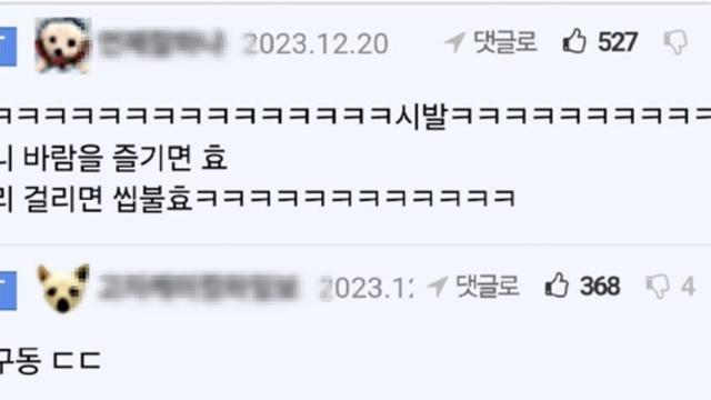 은근 효불효 갈린다는 짤