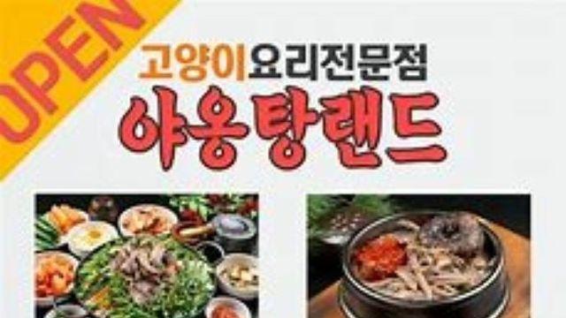 고양이 달인??!