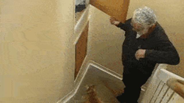 숨막히는 고양이 점프.gif,,