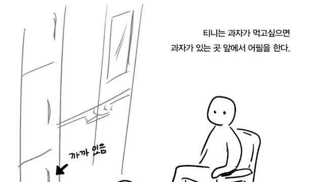 발 올리면 빡쳐하는 댕댕이⋯