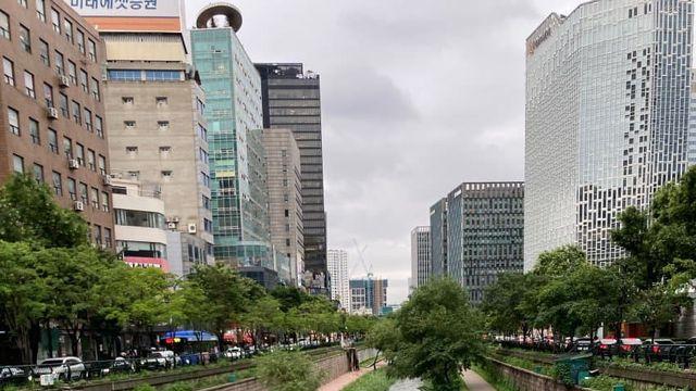 청계천 및 중랑천 오늘 저녁 상황